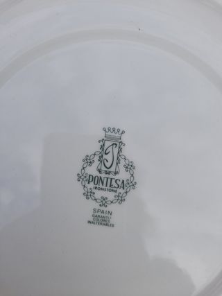 Vajilla Pontesa Completa. Sin uso