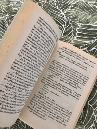 El color de la magia #342