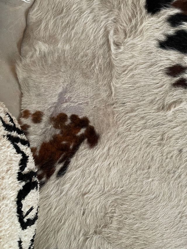Alfombra piel de vaca autentica
