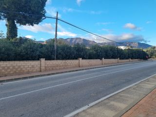 Jardinero profesional