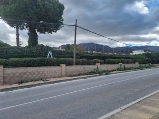 Jardinero profesional