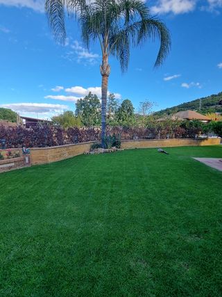 Jardinero profesional