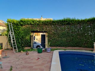 Jardinero profesional