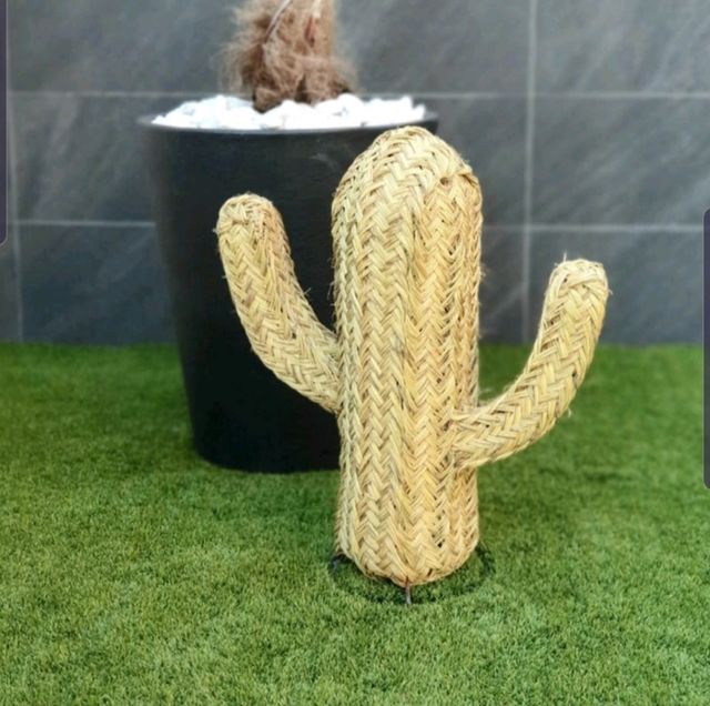 OFERTA: Espartum Cactus Marraquexe