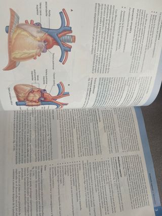 GRAY ANATOMÍA PARA ESTUDIANTES 4 edición