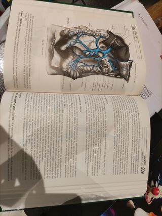 Anatomia Rouviere 10a edición 3 tomos