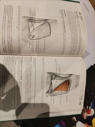 Anatomia Rouviere 10a edición 3 tomos