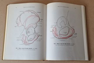 Atlas de Anatomía Humana. Tomo I - W. Spalteholz