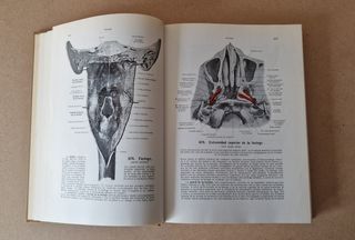 Atlas de Anatomía Humana. Tomo III - W. Spalteholz