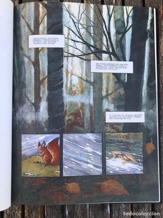 LOS TROTABOSQUES, SENDERO DE FUENTES MÁGICAS.