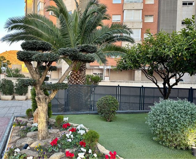 Jardinero económico profesional