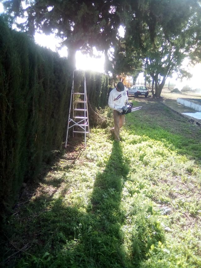 limpieza de pozos y aondamos