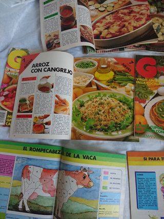 2 LIBROS DE COCINA y 76 revistas Guíacocina