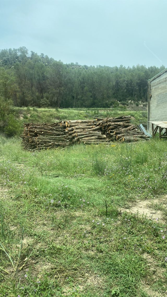 OFERTA !! Venta de leña  Venta de llenya