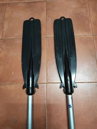 Remos telescopicos con bichero 💥