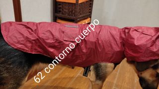 chubasquero perro cachorro