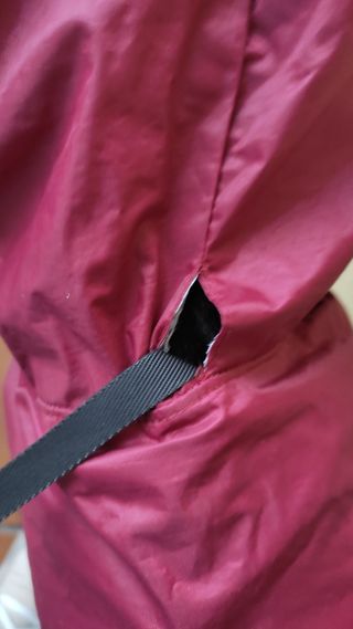 chubasquero perro cachorro