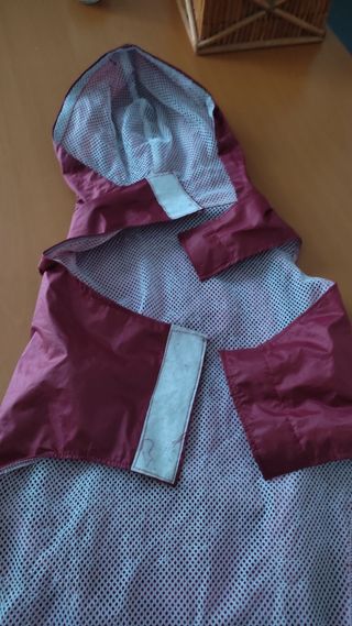 chubasquero perro cachorro