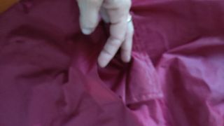 chubasquero perro cachorro