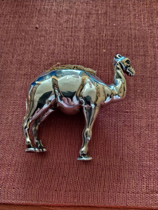 CAMELLO, MUY ANTIGUO..