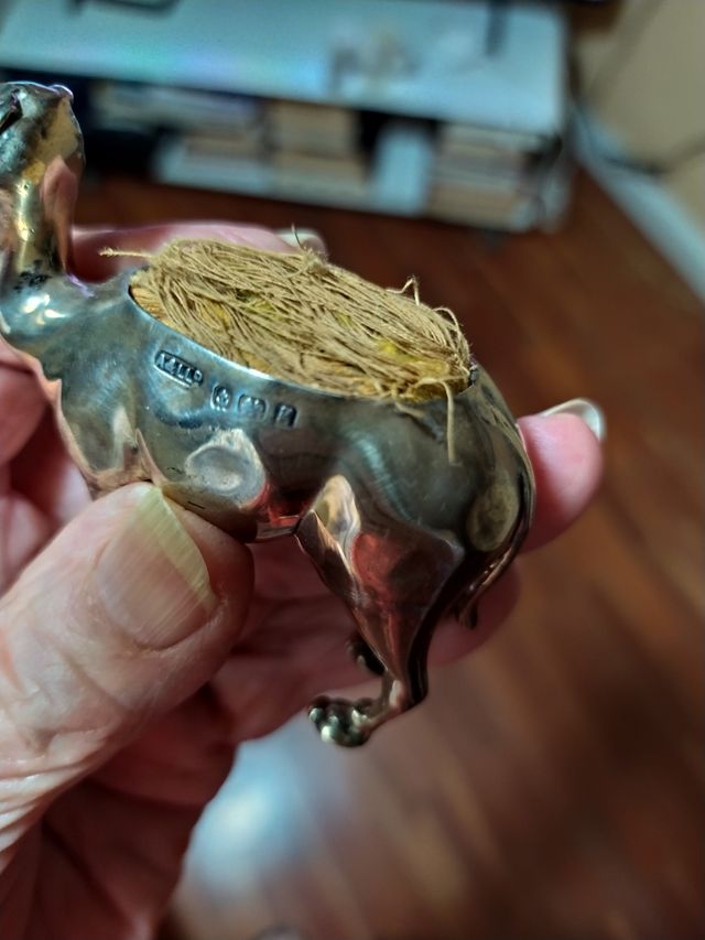 CAMELLO, MUY ANTIGUO..