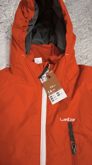 mono de nieve niño.