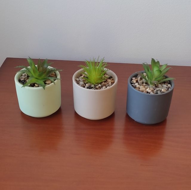 Conjunto de 3 plantas artificiales