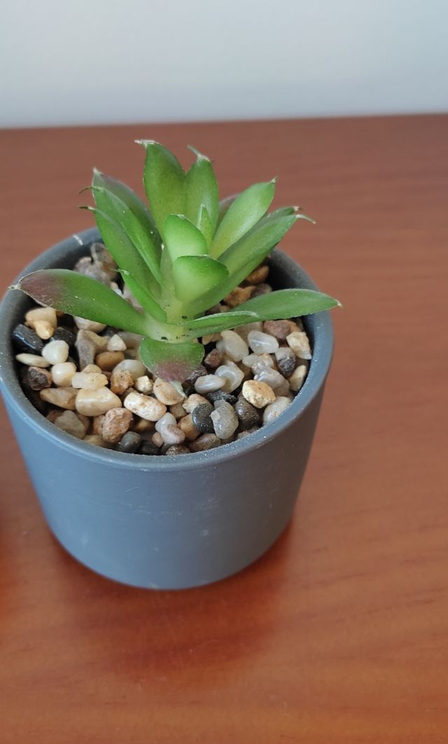 Conjunto de 3 plantas artificiales