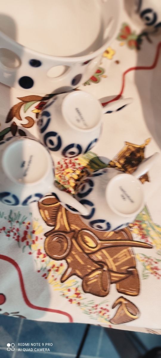 Gioco Sargadellos Queimada