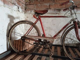 bici bicicleta bh gacela tamaño cadete