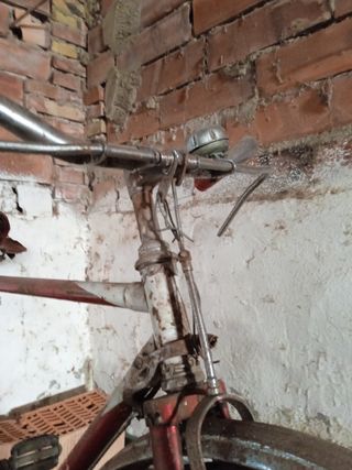 bici bicicleta bh gacela tamaño cadete