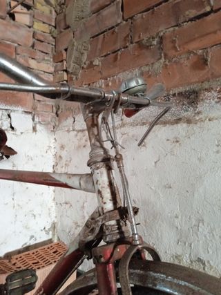 bici bicicleta bh gacela tamaño cadete