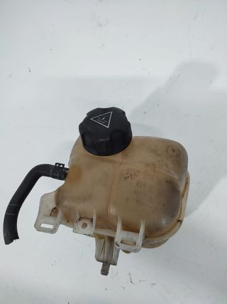 vaso expansion mini Cooper r56 