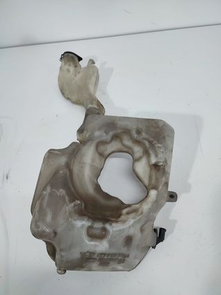 bote limpias mini Cooper r56