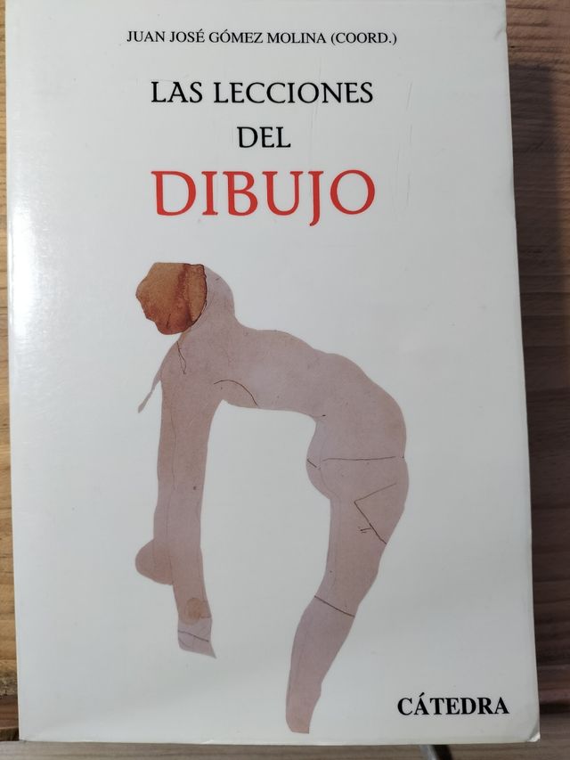 LAS LECCIONES DEL DIBUJO. JUAN JOSE