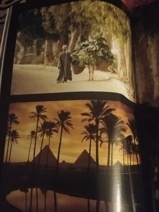 Rostros, paisajes, animales del mundo