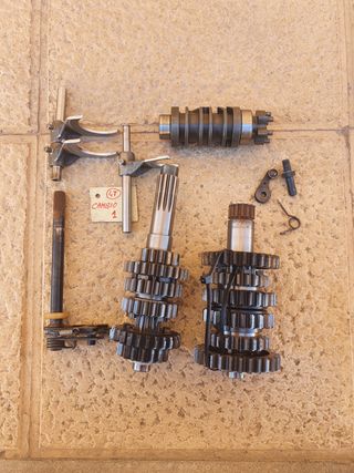 DESPIECE MOTOR GAS GAS FSE 400/450 2000-2005