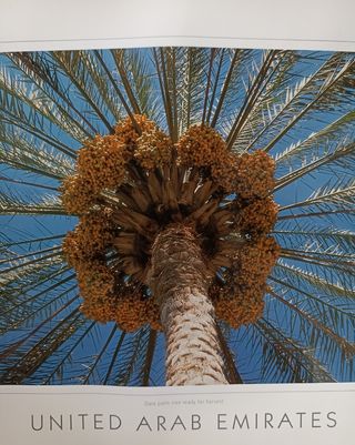 2 Láminas / pósters