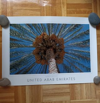 2 Láminas / pósters