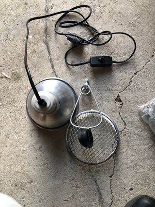 Campana bombillas reptiles