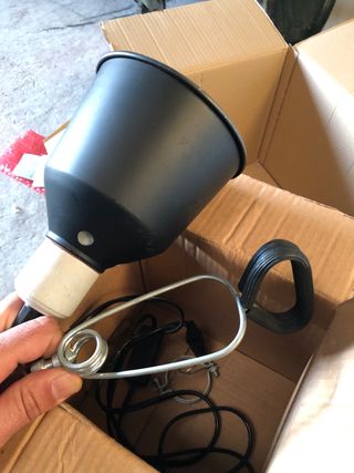 Campana para reptiles