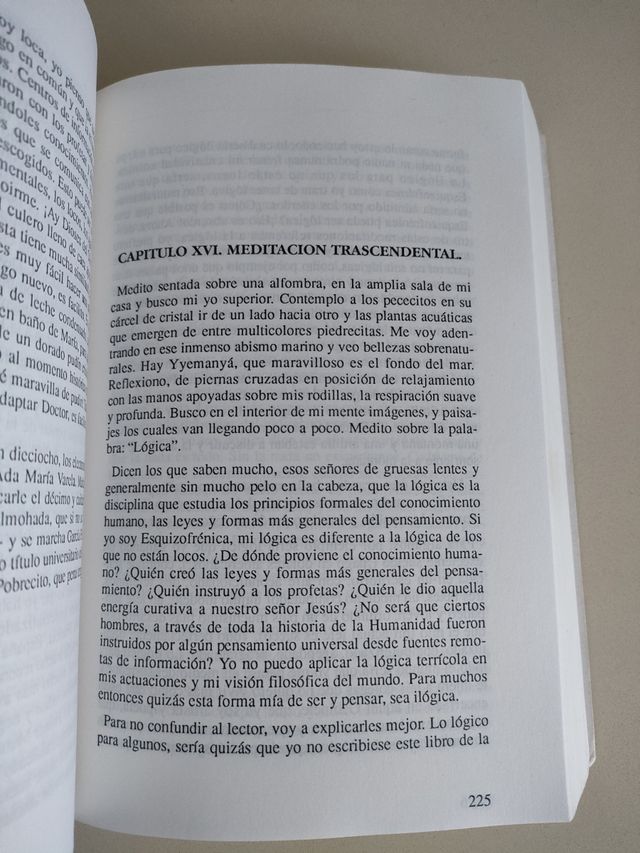 REFLEXIONES DE UNA ESQUIZOFRÉNICA 1993