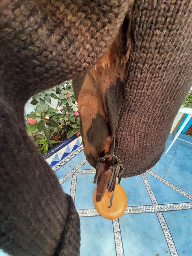 Rebeca de piel combinada con lana