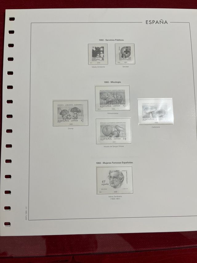 Hojas año 1993 España 