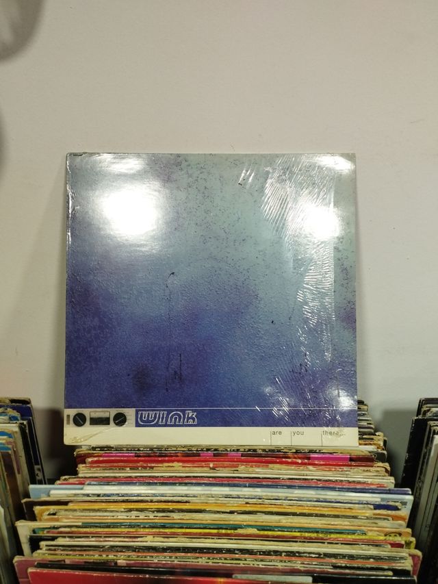 WINK - ARE YOU THERE