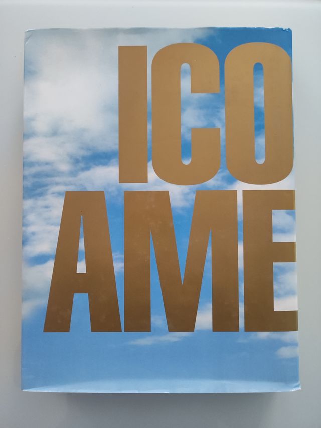 Libro Iconos de América