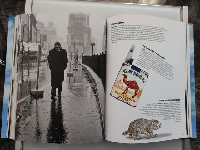 Libro Iconos de América