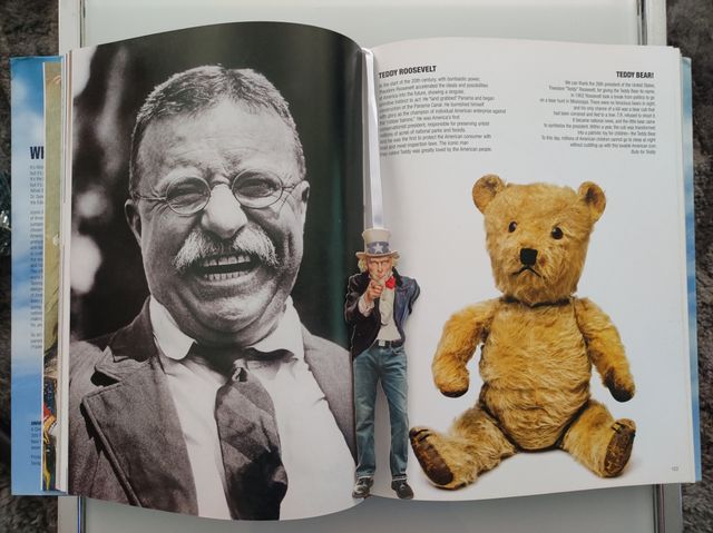 Libro Iconos de América