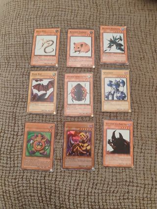 Cartas Yugui-oh con ERROR