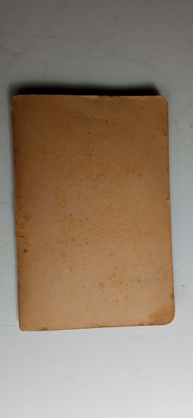 VIDA COMPENDIOSA  RAMON LLULL